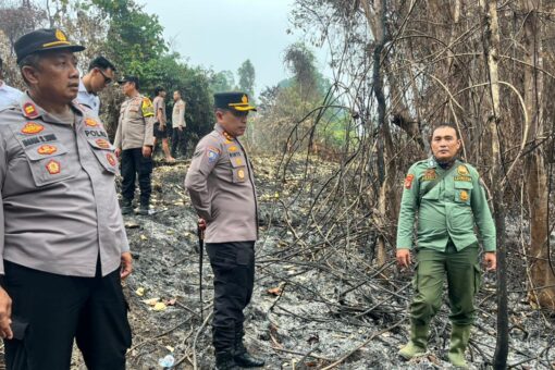 Kapolres Pesisir Barat AKBP Rinto Haivan Simbolon Pimpin Pengecekan Karhutla TNBBS, 3 Hektare Hutan Terdampak